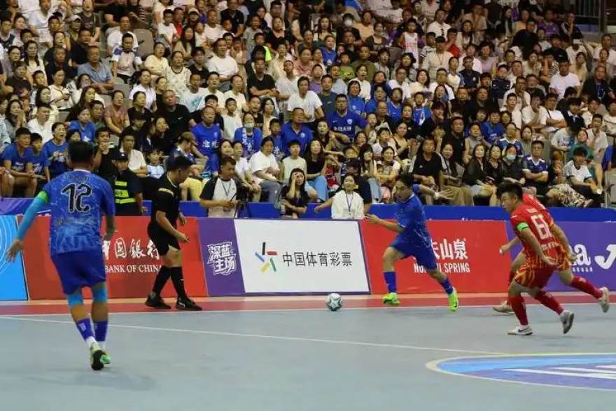 低调看球 从替补席到战术核心：一位草根教练的三年逆袭观察